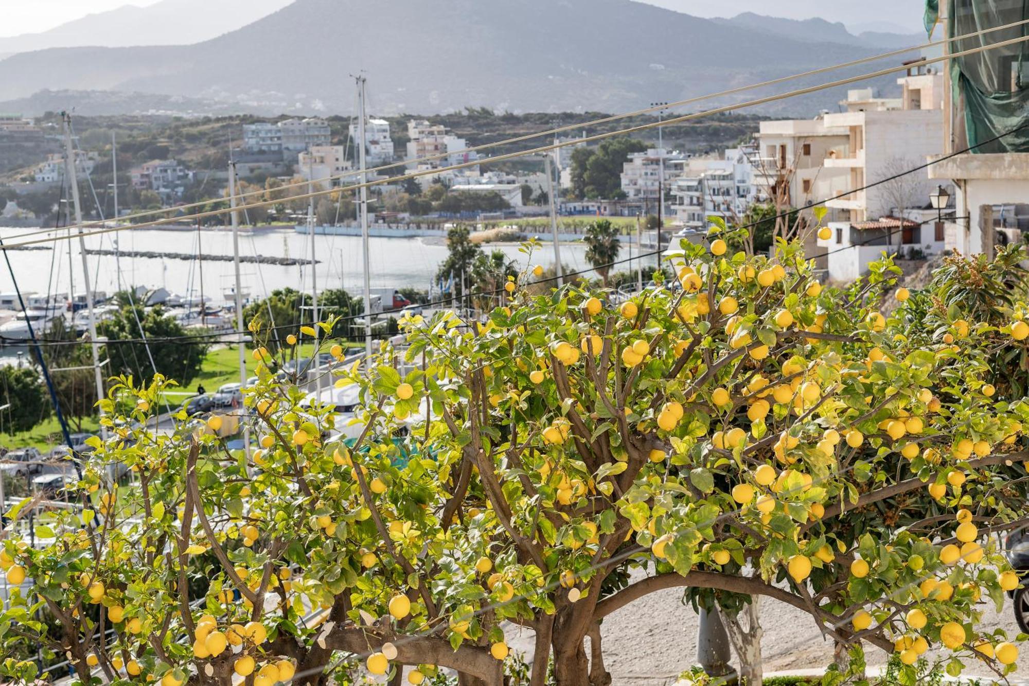 Jelena Apartments By The Sea Ayos Nikolaos Dış mekan fotoğraf